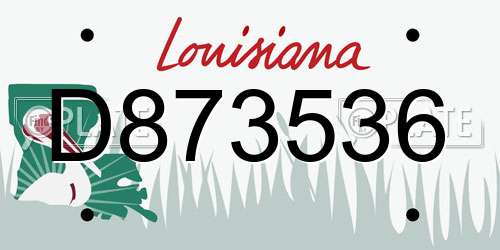 D873536 Louisiana License Plate