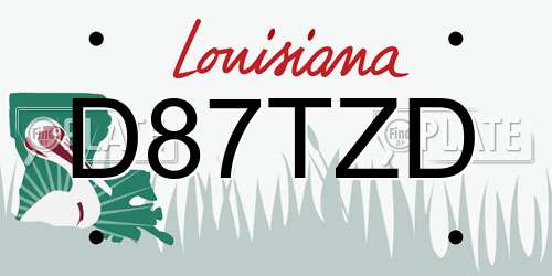 D87TZD Louisiana License Plate
