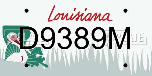 D9389M Louisiana License Plate