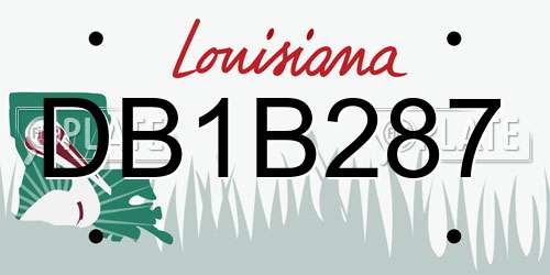 DB1B287 Louisiana License Plate