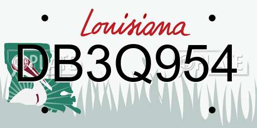 DB3Q954 Louisiana License Plate
