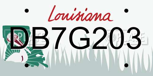 DB7G203 Louisiana License Plate
