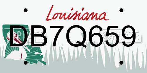 DB7Q659 Louisiana License Plate