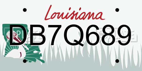 DB7Q689 Louisiana License Plate