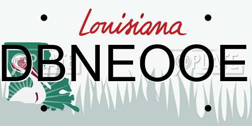 DBNEOOE Louisiana License Plate