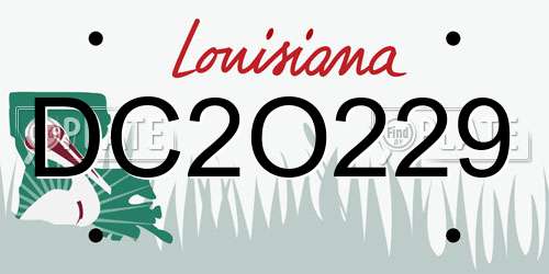 DC2O229 Louisiana License Plate