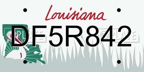DF5R842 Louisiana License Plate