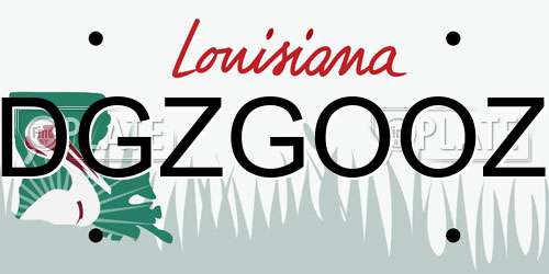 DGZGOOZ Louisiana License Plate