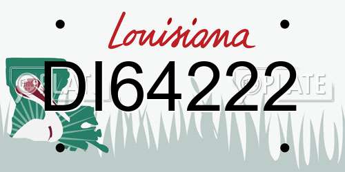 DI64222 Louisiana License Plate