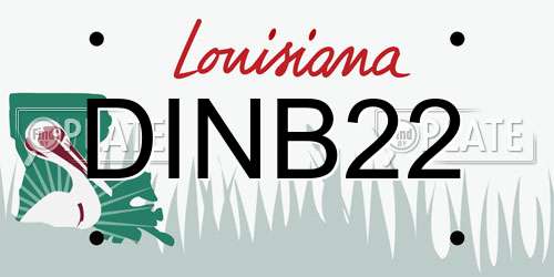 DINB22 Louisiana License Plate