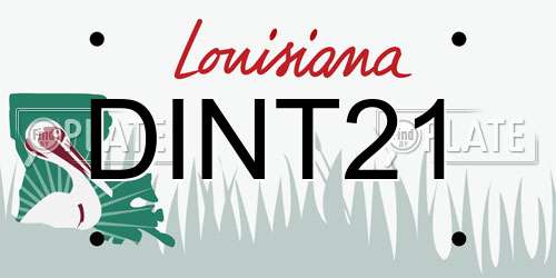 DINT21 Louisiana License Plate