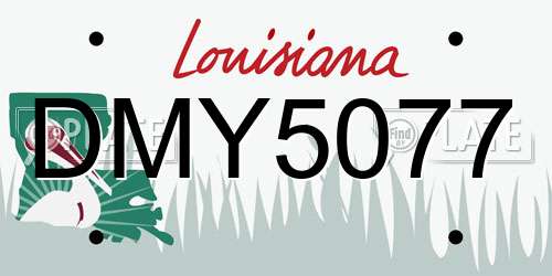 DMY5077 Louisiana License Plate