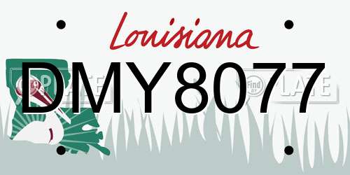 DMY8077 Louisiana License Plate