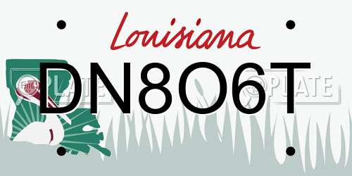 DN8O6T Louisiana License Plate