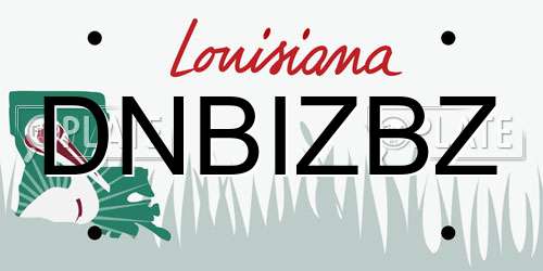 DNBIZBZ Louisiana License Plate