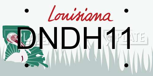 DNDH11 Louisiana License Plate