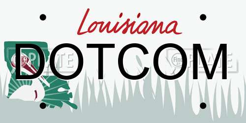DOTCOM Louisiana License Plate