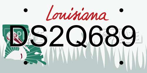 DS2Q689 Louisiana License Plate