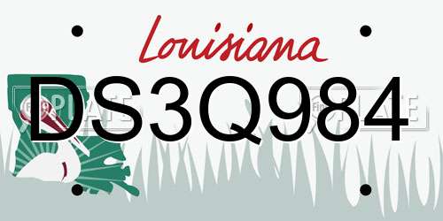 DS3Q984 Louisiana License Plate
