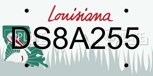 DS8A255 Louisiana License Plate