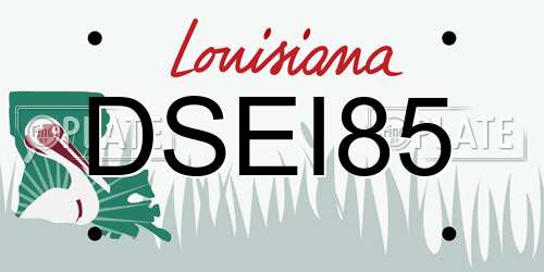 DSEI85 Louisiana License Plate
