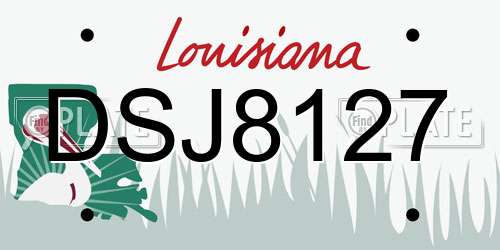 DSJ8127 Louisiana License Plate