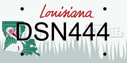 DSN444 Louisiana License Plate