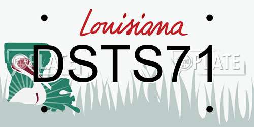 DSTS71 Louisiana License Plate