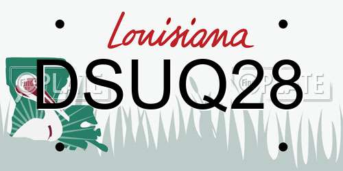 DSUQ28 Louisiana License Plate
