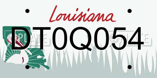 DT0Q054 Louisiana License Plate