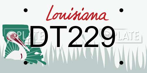 DT229 Louisiana License Plate
