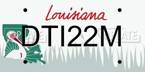 DTI22M Louisiana License Plate