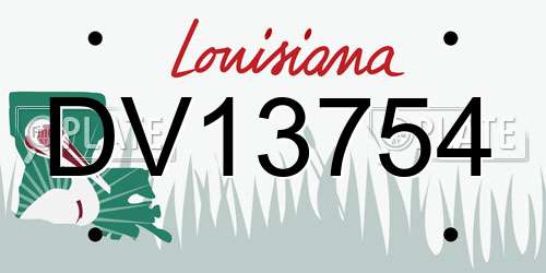 DV13754 Louisiana License Plate