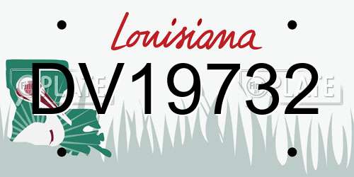 DV19732 Louisiana License Plate