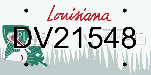DV21548 Louisiana License Plate