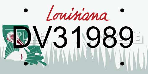 DV31989 Louisiana License Plate