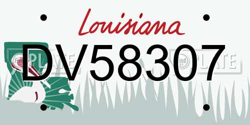 DV58307 Louisiana License Plate