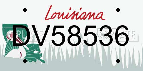 DV58536 Louisiana License Plate