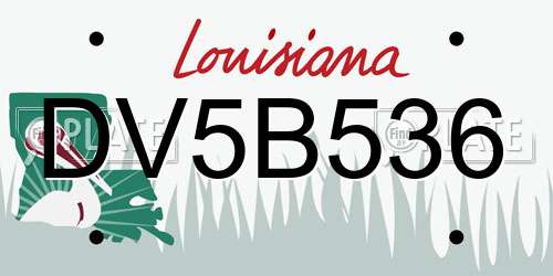 DV5B536 Louisiana License Plate