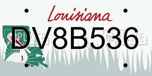 DV8B536 Louisiana License Plate