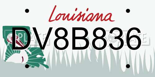 DV8B836 Louisiana License Plate