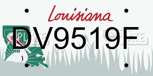 DV9519F Louisiana License Plate