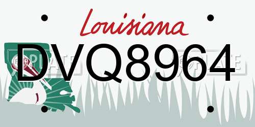 DVQ8964 Louisiana License Plate