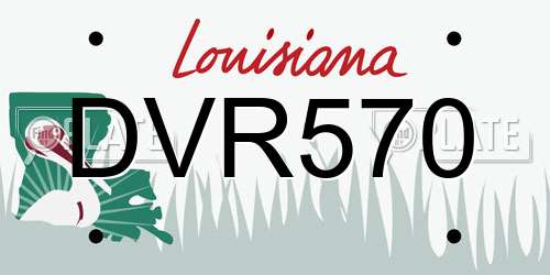 DVR570 Louisiana License Plate