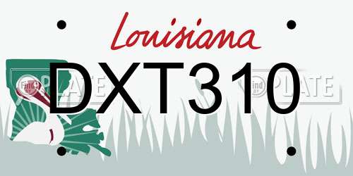 DXT310 Louisiana License Plate