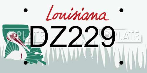 DZ229 Louisiana License Plate