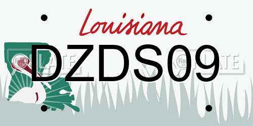 DZDS09 Louisiana License Plate