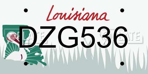 DZG536 Louisiana License Plate