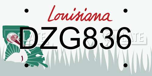 DZG836 Louisiana License Plate