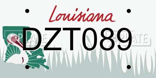 DZT089 Louisiana License Plate
